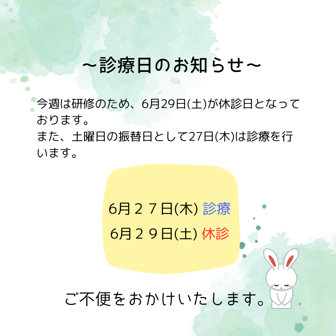 6月29日(土)は休診日となります