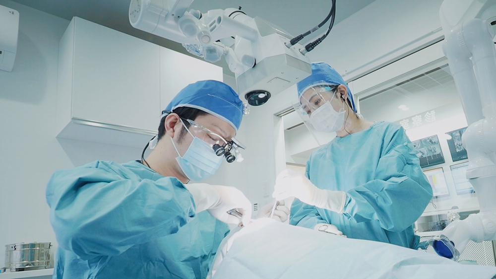 歯科医師全体の0.2％しかいない日本口腔インプラント学会指導医